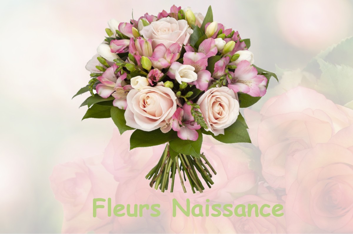 fleurs naissance SOMMEDIEUE