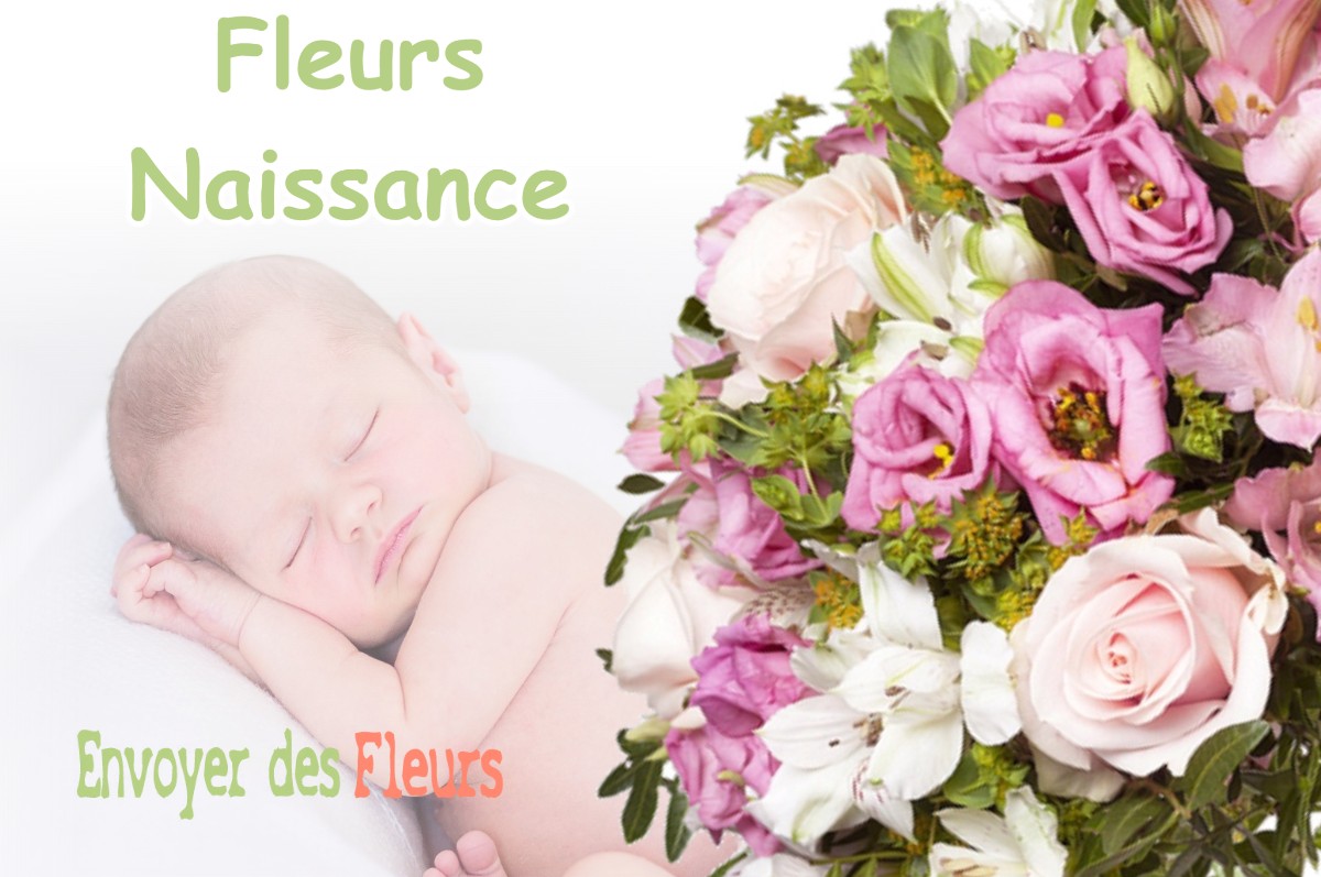 lIVRAISON FLEURS NAISSANCE à SOMMEDIEUE